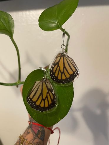 Real Butterfly wings made into earrings, Butterfly wings preserved in resin