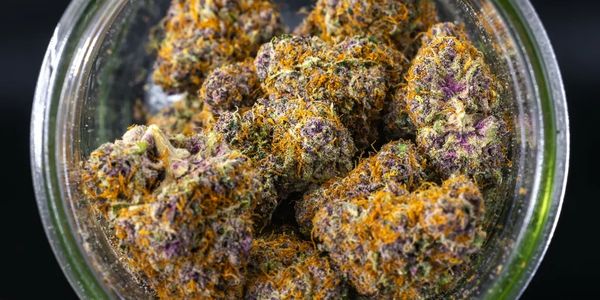 Discover the Power of Premium: Handpicked, Lab-Tested, and Curated for an Unmatched Cannabis Experie