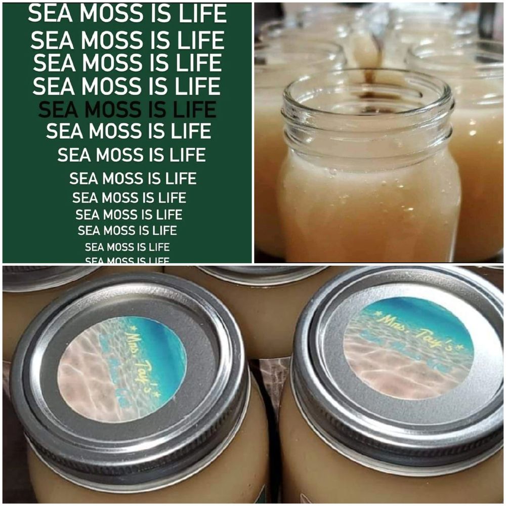 sea moss journey