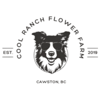Cool Ranch Flower Farm