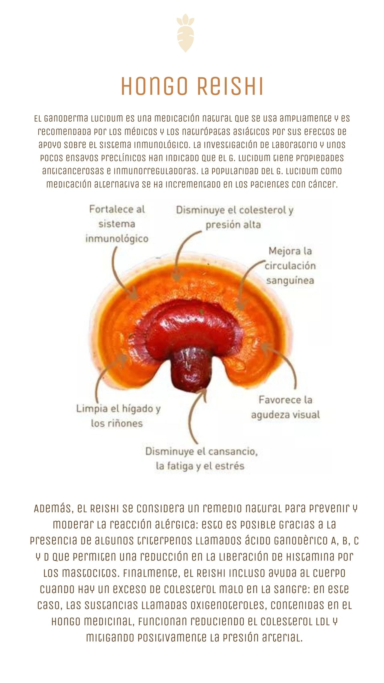 BENEFICIOS DEL HONGO REISHI