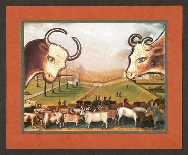 "Divine Bovines"