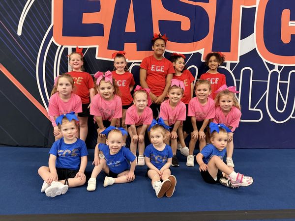 Group of young cheerleaders in color-coded outfits posing indoors.