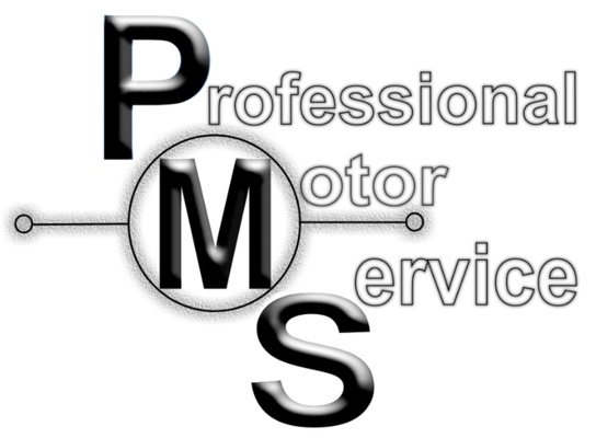 Professional Motor Service