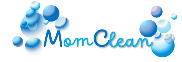 Professional Cleaning Services