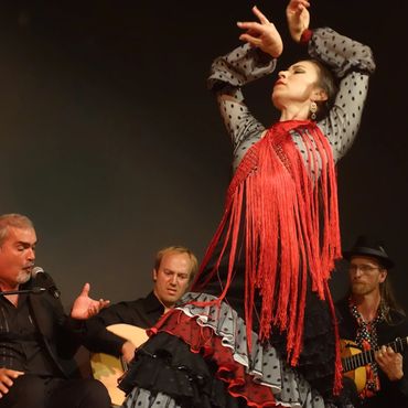 Flamenco dancer performing with musicians.