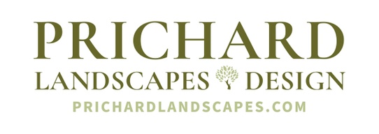 Landscapes by  Randy Prichard