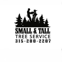 Small and Tall Tree Service