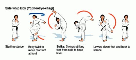 Taekwondo Technique: Side whip Kick
