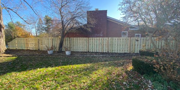 Backyard with a new wooden fence, leaf-covered grass, and bare trees under a bright blue sky.