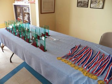 A table with multiple glass trophies and gold medals with red, white, and blue ribbons.