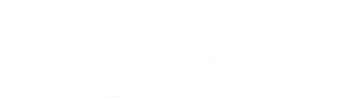 Bashir Hazim
