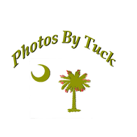 Photos by Tuck
