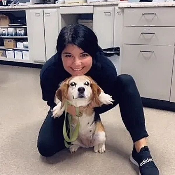 Troy Veterinary Clinic