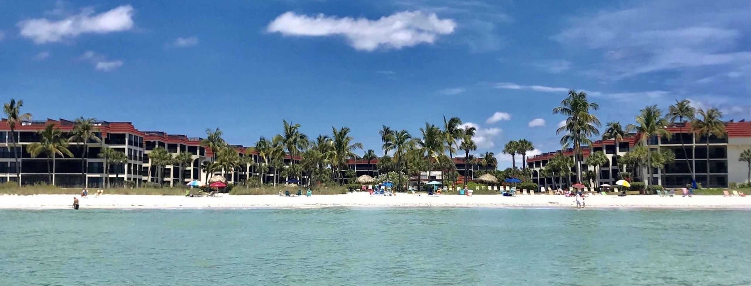 an island surrounded by palm trees