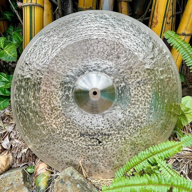 A hammered cymbal from Big Island Cymbals outdoors among plants.