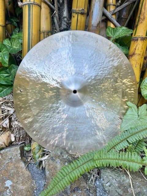 A shiny cymbal placed outdoors among bamboo and green plants.