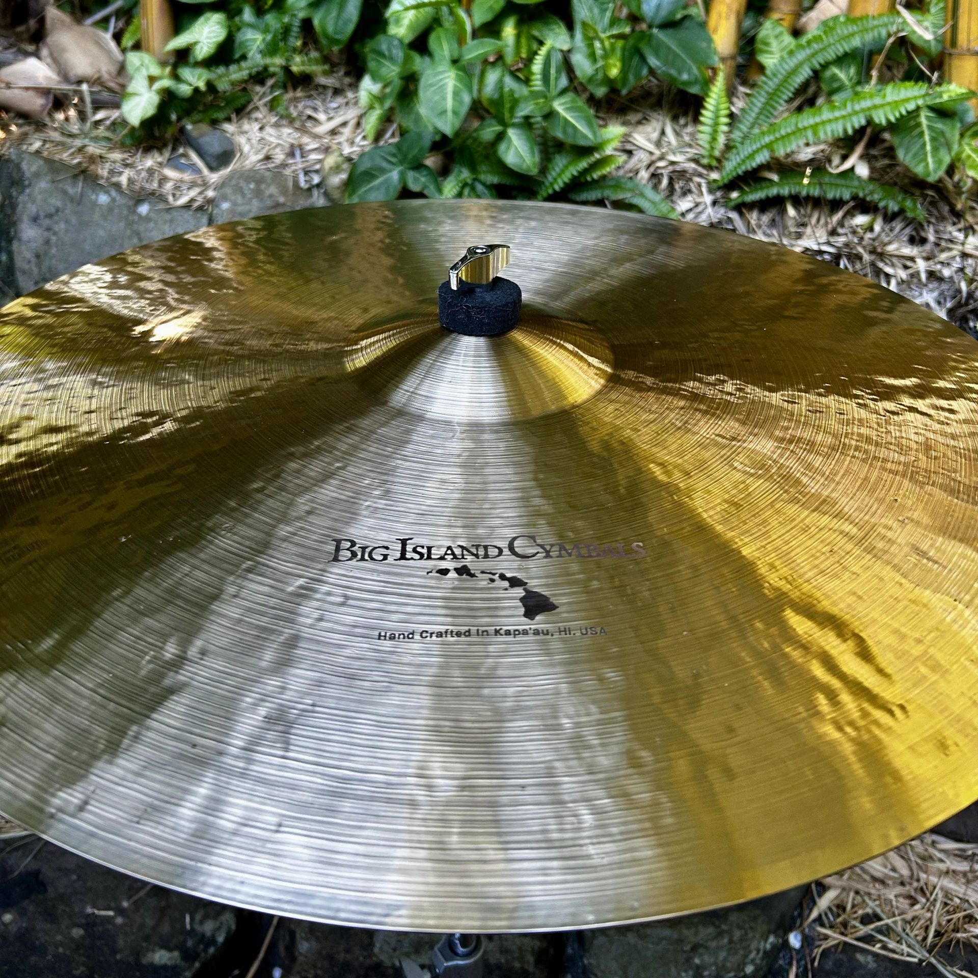 Close-up of a shiny Big Island Cymbals cymbal with green foliage background.