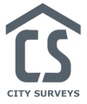City Surveys