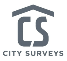 City Surveys
