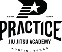 Practice Jiu Jitsu