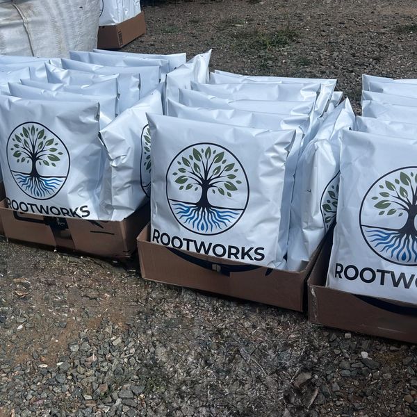 Rows of white bags labeled ROOTWORKS with a tree logo, packed in cardboard boxes.