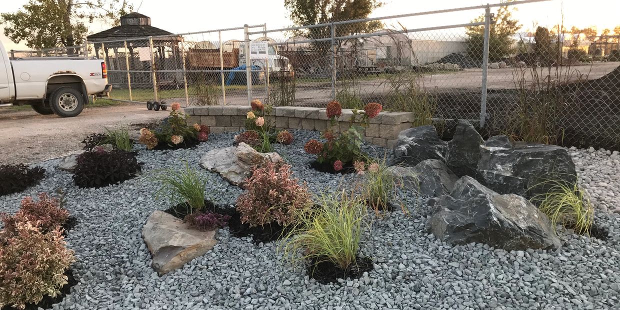 Rock garden 