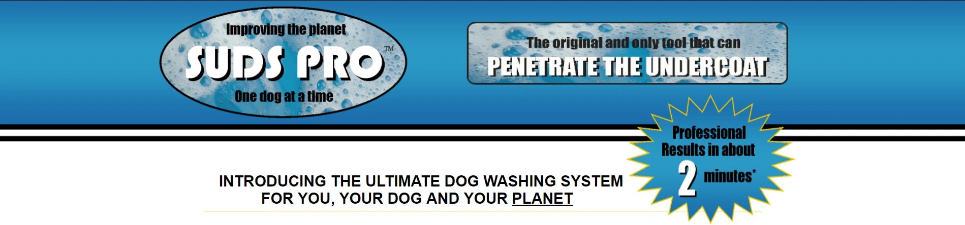 Dog bath system
