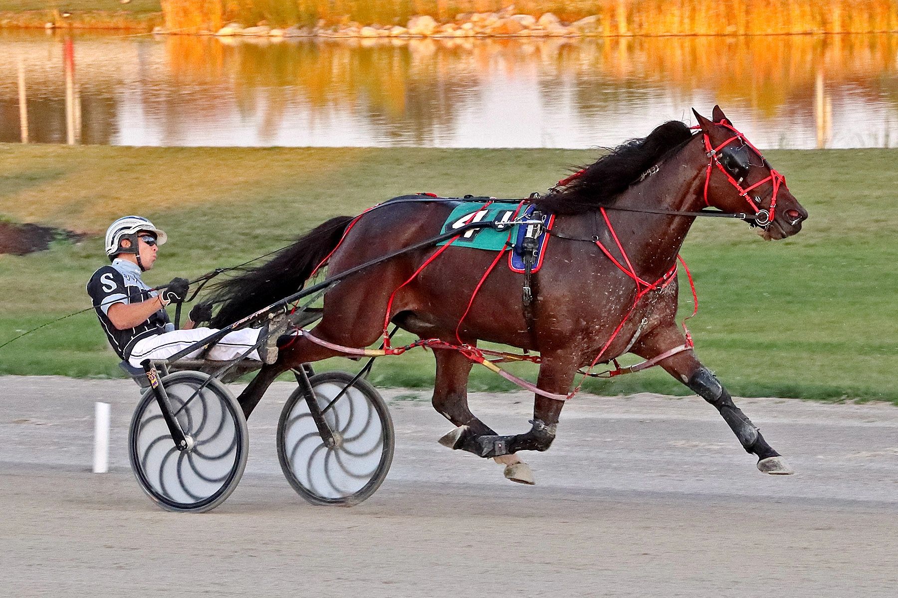 HorsePlay Racing Stable