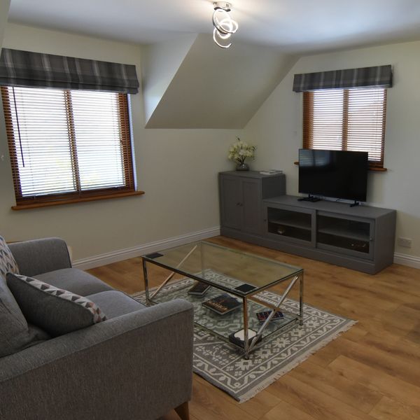 Modern living room with grey sofa, glass coffee table, and TV on grey cabinet.