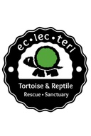 Eclecteri