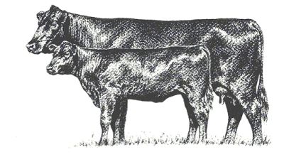 Black and white sketch of a cow and calf.