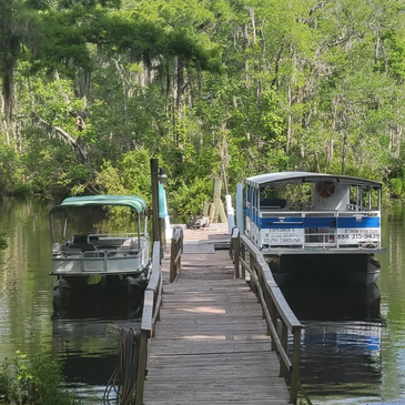 airboat tours georgetown sc