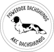 Powerdox Dachshunds