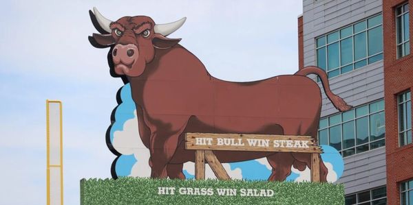 The famous Durham Bull