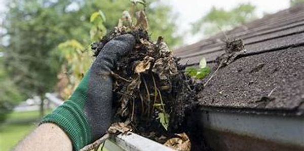 Gutter Cleaning