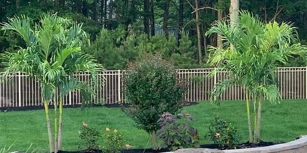 Backyard pool with waterfall feature and lush green landscaping.
