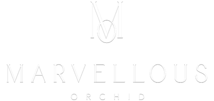 Marvellous Orchid