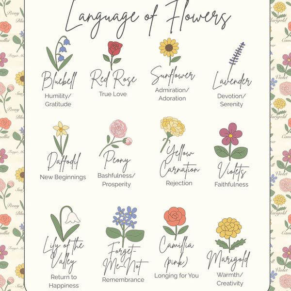 Illustration showing meanings of various flowers in the language of flowers.