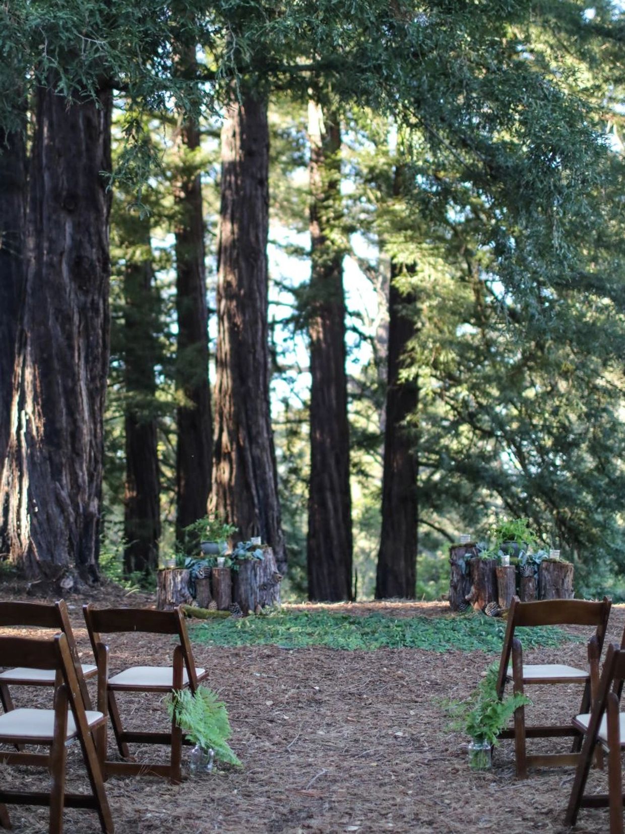 Redwood grove elopement, Redwood Micro Wedding, Santa Cruz Wedding, Elopement, Big Sur Elopement