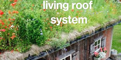 Living roof
