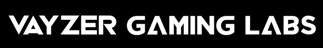 Vayzer Gaming Labs