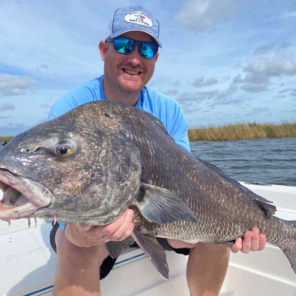 Man holding black drum on guided fishing trip in New Orleans.