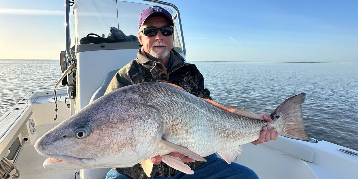 Man holding a 40 inch redfish in Delacroix Louisiana on a inshore charter fishing trip
