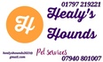 Healy's Hounds