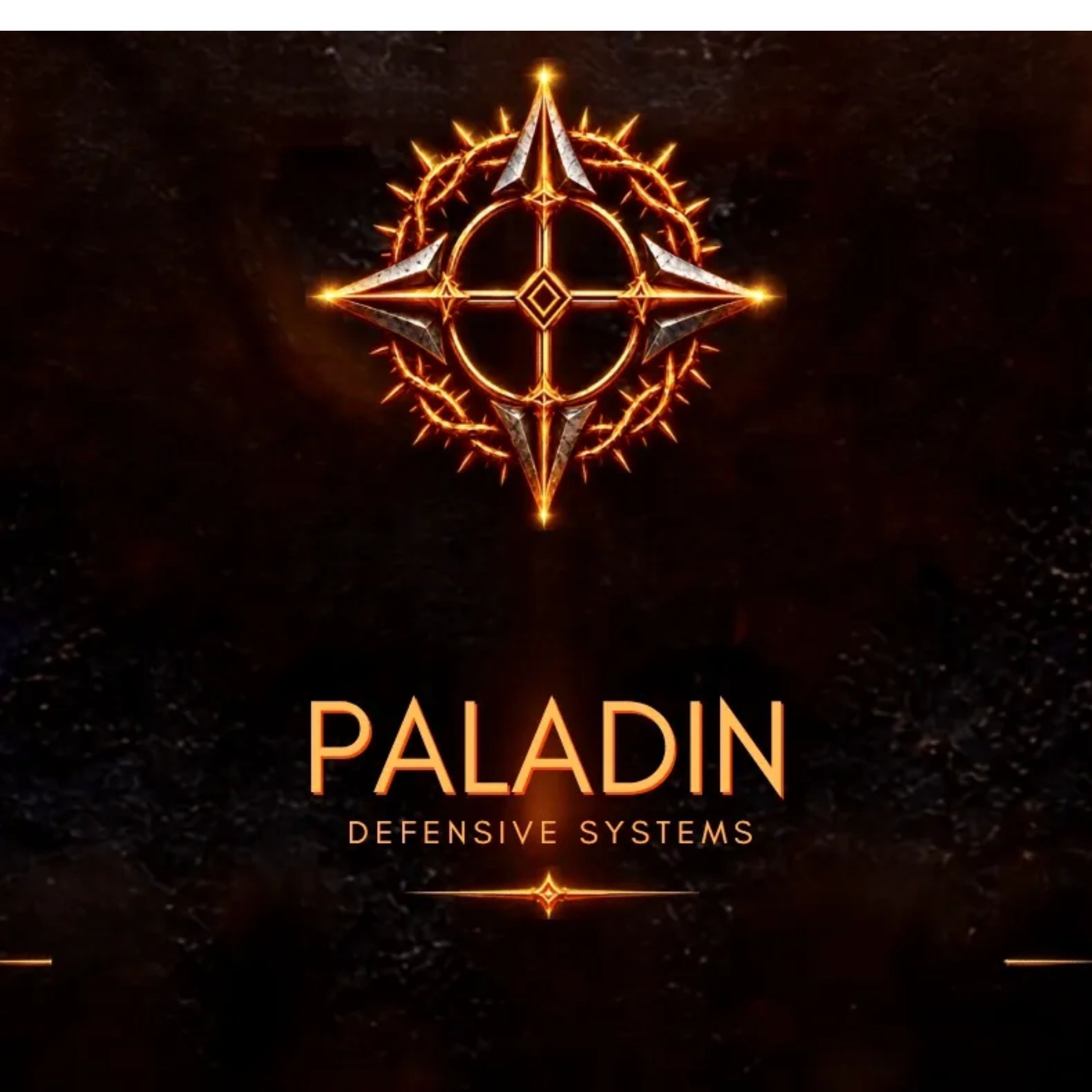 Logo and title for Paladin Defensive Systems.