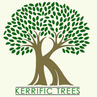 Kerrific Trees