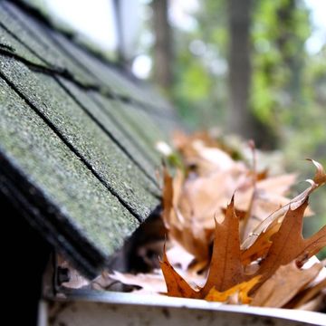 Clogged gutters filled with leaves.