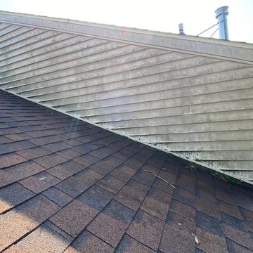 Dirty green siding up on roof.