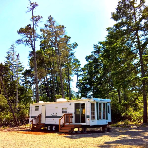 First Step - First Step Community, Transitional Housing Program